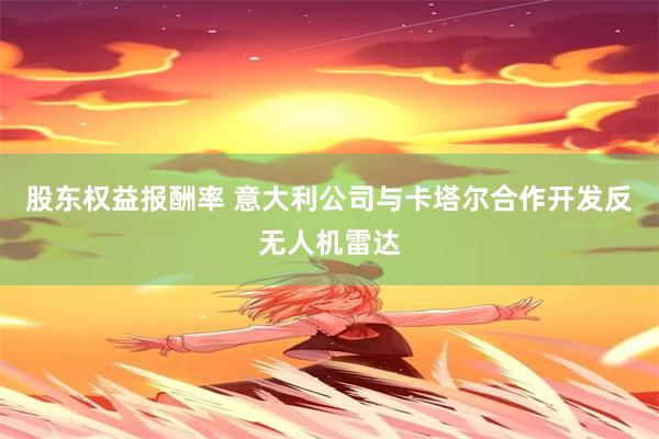股东权益报酬率 意大利公司与卡塔尔合作开发反无人机雷达
