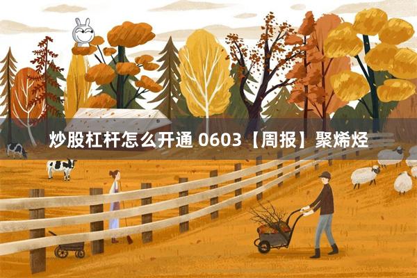 炒股杠杆怎么开通 0603【周报】聚烯烃