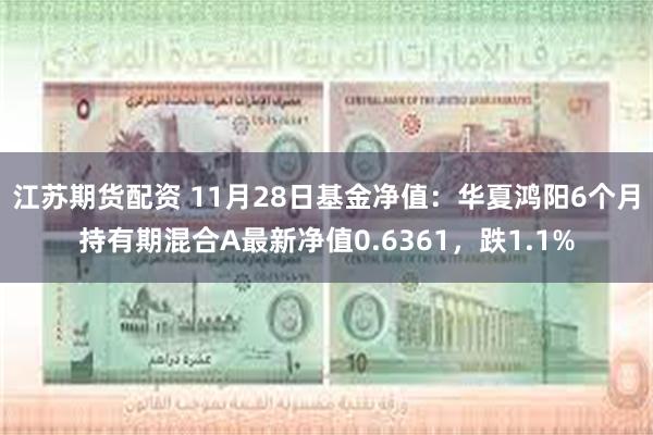 江苏期货配资 11月28日基金净值：华夏鸿阳6个月持有期混合A最新净值0.6361，跌1.1%