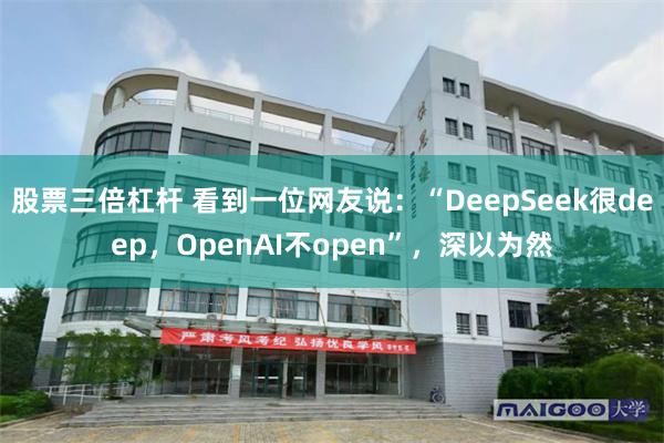 股票三倍杠杆 看到一位网友说：“DeepSeek很deep，OpenAI不open”，深以为然