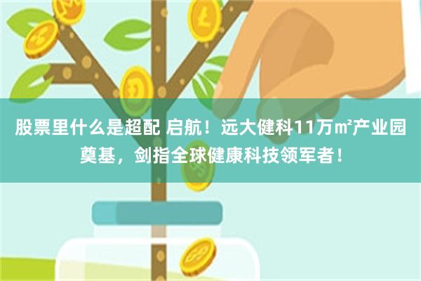 股票里什么是超配 启航！远大健科11万㎡产业园奠基，剑指全球健康科技领军者！