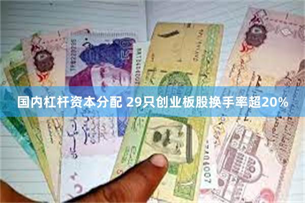 国内杠杆资本分配 29只创业板股换手率超20%