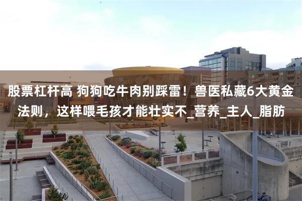 股票杠杆高 狗狗吃牛肉别踩雷！兽医私藏6大黄金法则，这样喂毛孩才能壮实不_营养_主人_脂肪