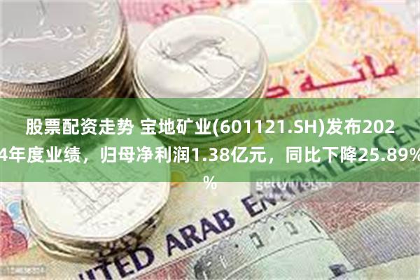 股票配资走势 宝地矿业(601121.SH)发布2024年度业绩，归母净利润1.38亿元，同比下降25.89%