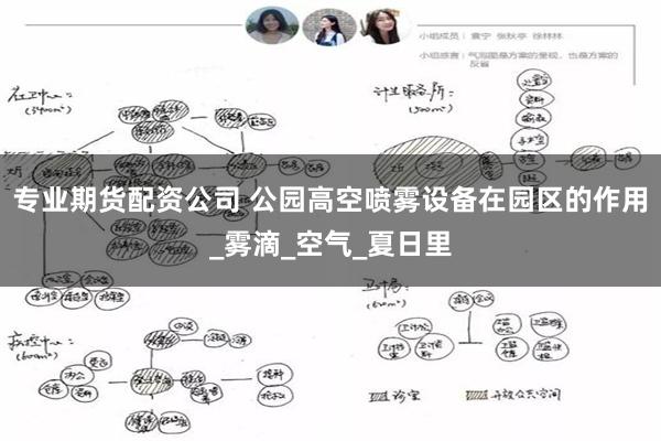 专业期货配资公司 公园高空喷雾设备在园区的作用_雾滴_空气_夏日里