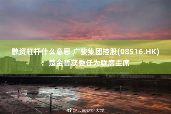 融资杠杆什么意思 广骏集团控股(08516.HK)：楚金哲获委任为联席主席