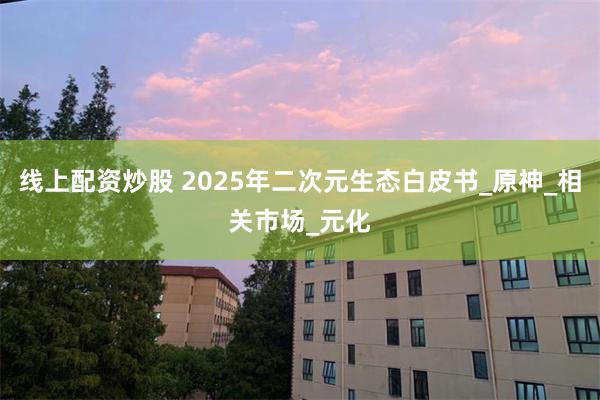 线上配资炒股 2025年二次元生态白皮书_原神_相关市场_元化